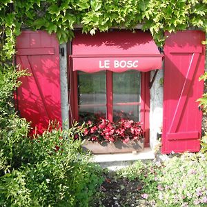 Le Bosc Bed & Breakfast Anthe Exterior photo