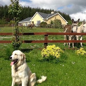 Hillview Farm House B&B Tulla Exterior photo