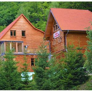 Waldhaus Altenbrak Hotel Exterior photo