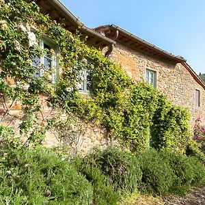 Charming Room With Private Bathroom Greve in Chianti Exterior photo