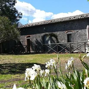 Poggio Roseto Villa Randazzo Exterior photo