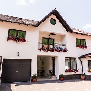 Vila Rodica Transalpina Hotel Sugag Exterior photo