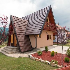 Mountain House Popovic Tara Villa Bajina Basta Exterior photo