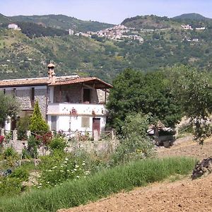 Agriturismo Acampora Villa Cerchiara di Calabria Exterior photo