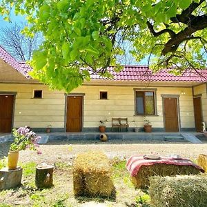 Aghasu Tun B&B Odzun Exterior photo